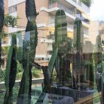 Proteção com muita luz