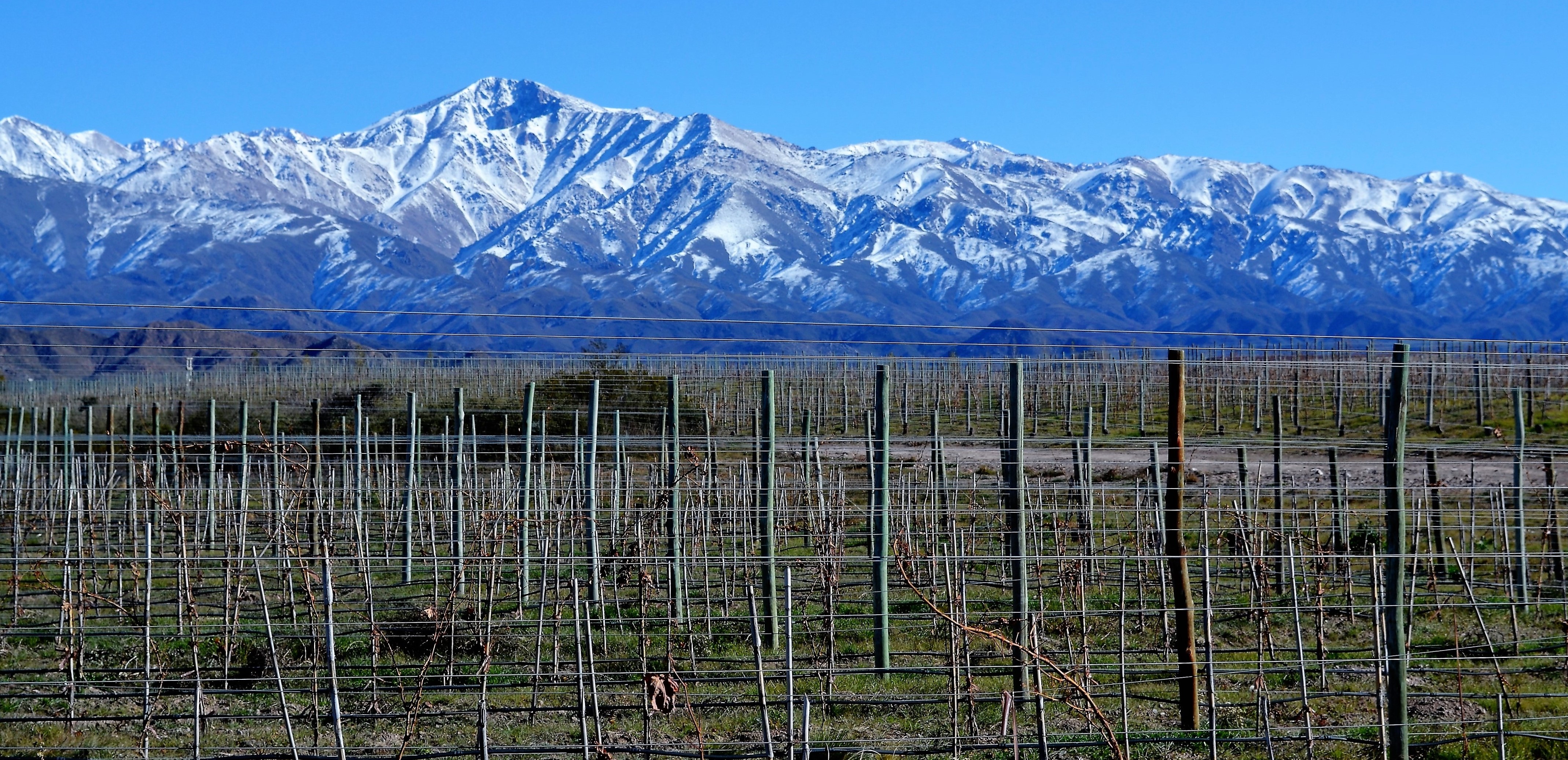 Mendoza – Direto ao Ponto