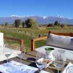The Vines of Mendoza