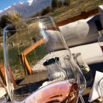 The Vines of Mendoza