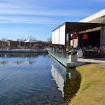 The Vines of Mendoza